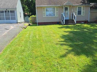 Becca M.'s turf care service result