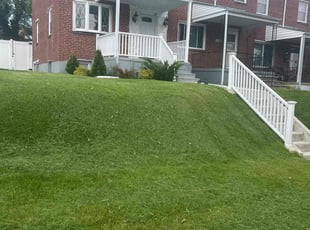 Dana W.'s turf maintenance service result