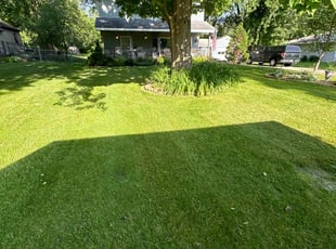 Maxine M.'s Lawn Mowing service result