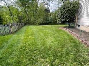 Denise M.'s turf maintenance service result