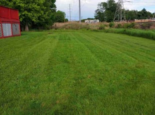 Sydney D.'s grass maintenance service result