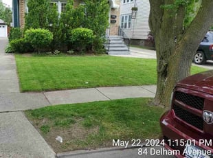 Jovan J.'s turf care service result
