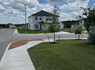 Allison P.'s Weeding service result