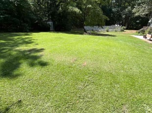 Latasha J.'s lawn service service result