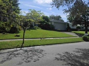 Danielle N.'s lawn care services service result