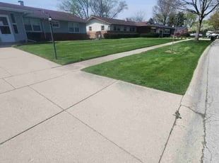 Anthony R.'s grass maintenance service result