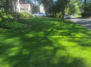 Brian G.'s lawn care service result
