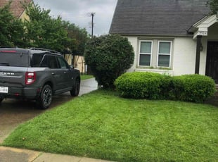 Harold K.'s Bush Trimming service result