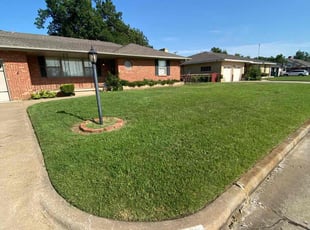 Ney T.'s landscaping services service result