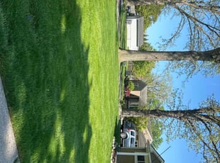 Diane L.'s Cleanups service result