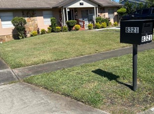 Alika B.'s grass maintenance service result