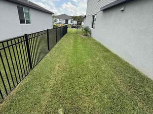 Star C.'s lawn care services service result