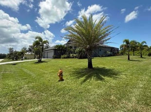 Jazmond B.'s lawn maintenance service result