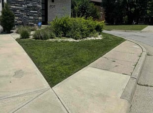 Nancy J.'s turf care service result