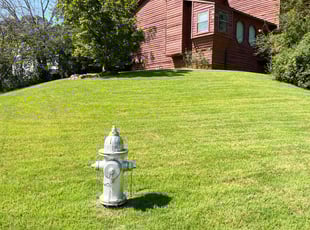Sheryl M.'s lawn care services service result