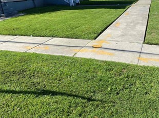 Ryan S.'s lawn maintenance service result