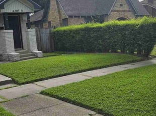 Paige M.'s turf maintenance service result