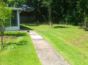 Lisa D.'s grass cutting service result