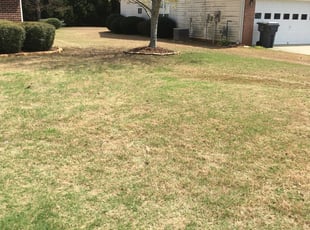 Steven K.'s Bush Trimming service result