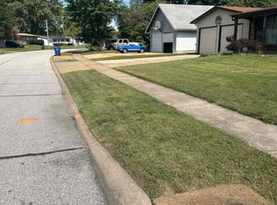 Brenda T.'s turf maintenance service result