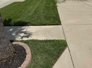 Michael B.'s turf care service result