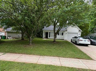 Tonya M.'s grass maintenance service result