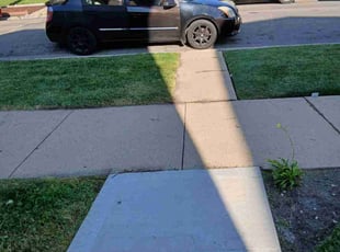 Carla H.'s lawn service service result