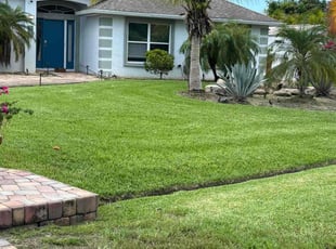 Ron M.'s grass cutting service result