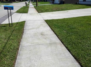 Lorraine A.'s turf care service result