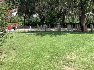 David S.'s turf maintenance service result