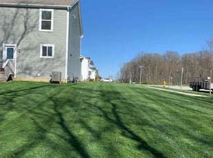 Safiya T.'s grass cutting service result