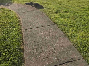 Rick H.'s lawn maintenance service result