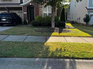 Christian P.'s lawn service service result