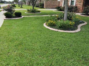 Barbara J.'s lawn service service result