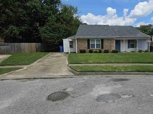 Joey L.'s grass cutting service result