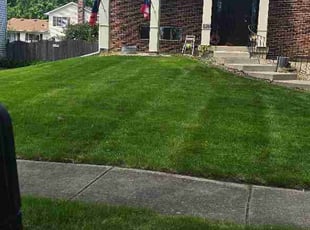 Gregory T.'s lawn service service result