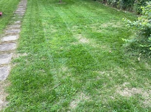Rachel V.'s lawn care services service result