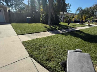 Steven C.'s lawn maintenance service result