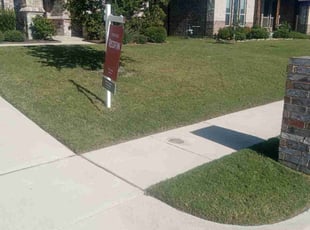 Alison C.'s lawn service service result