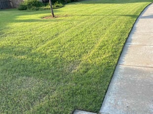 Glenn J.'s lawn care service result
