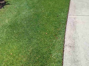 Laura C.'s lawn care services service result