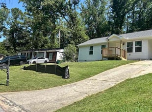 Dezi T.'s lawn care service result