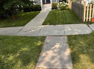 Cate W.'s grass maintenance service result