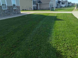 Christopher T.'s lawn maintenance service result