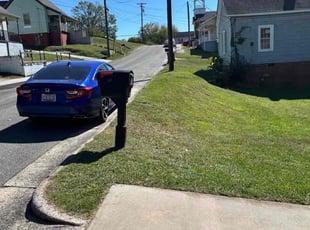 Jynny T.'s turf maintenance service result