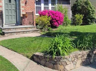 Eleanor R.'s grass cutting service result