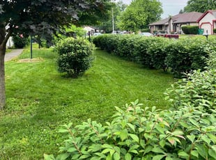 Joyce B.'s lawn care services service result