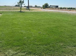 Rozella M.'s grass cutting service result