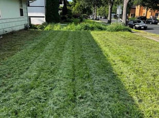 Sarah H.'s turf care service result