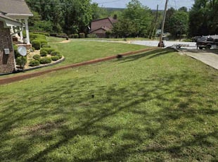 Alexis A.'s turf maintenance service result